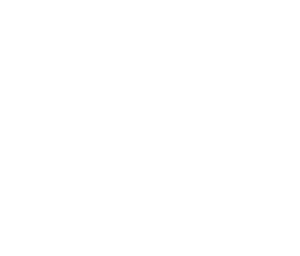 Forlingo Language Academy